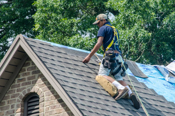 Best Storm Damage Roof Repair  in Norton, KS